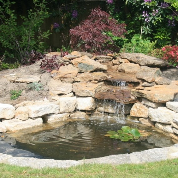 Water features in your garden